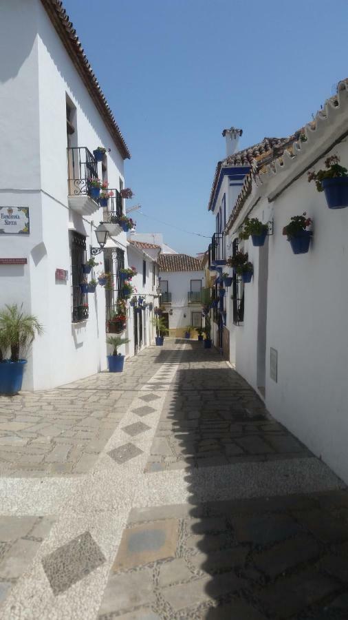 Puerto Deportivo Estepona Ngoại thất bức ảnh