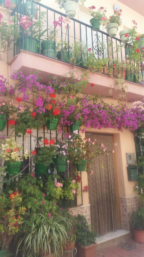 Puerto Deportivo Estepona Ngoại thất bức ảnh